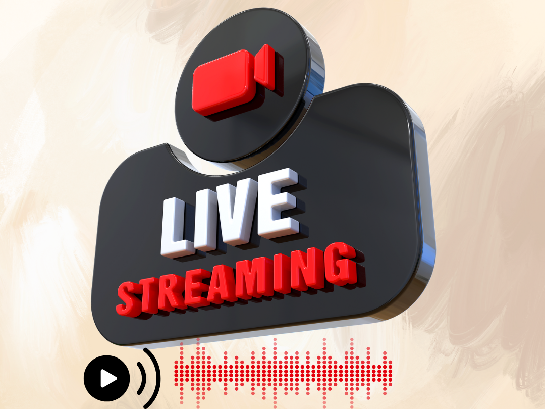 Web Development Project